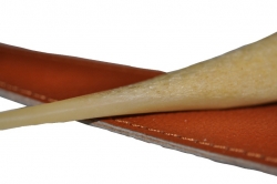 ossocustodia_i_250
